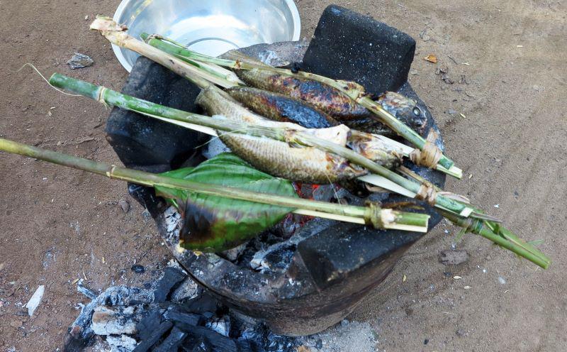 Photo 24 - Poissons et un paquet de « prahok » sur le grill