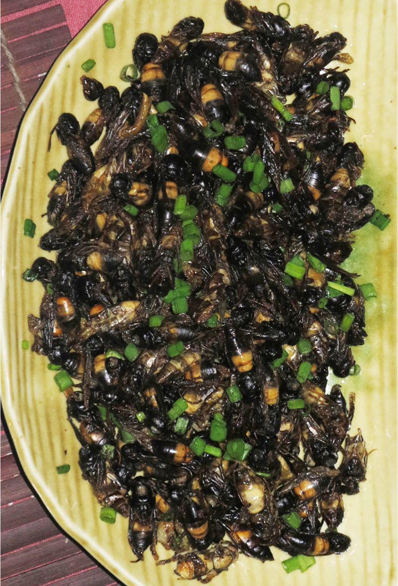 Photo 62 - « Omal linh »