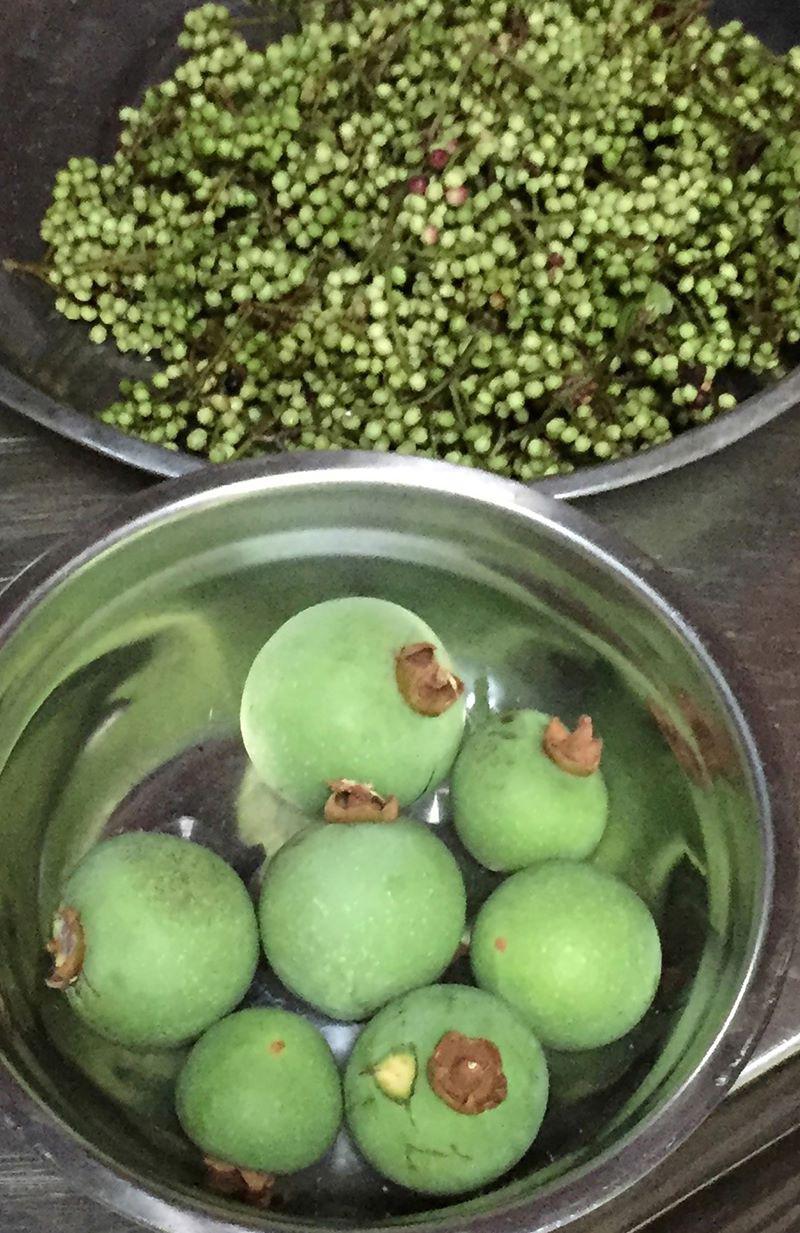 Photo 83 - Fruits de l’arbre « chan »